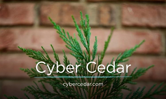 CyberCedar.com